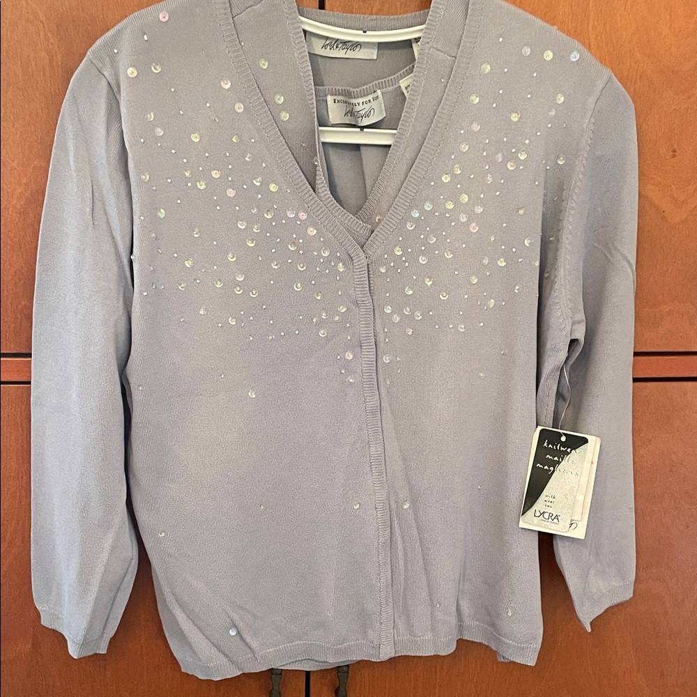 Light Purple V-Neck Sweater with Sequin Accents lord and Taylor 2 piece set nwt